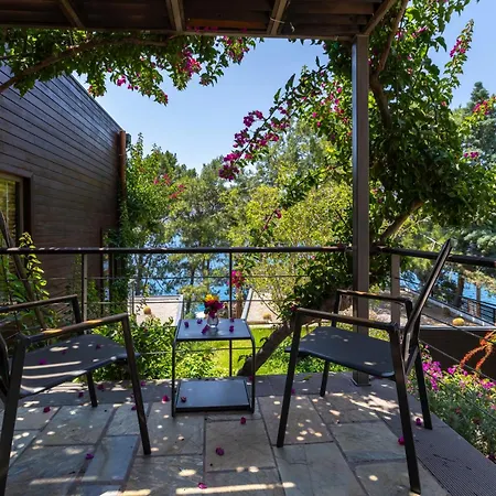 Miamai Boutique - Adult Only 3*