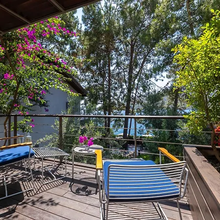 Miamai Butik - Sadece Yetiskin 3*