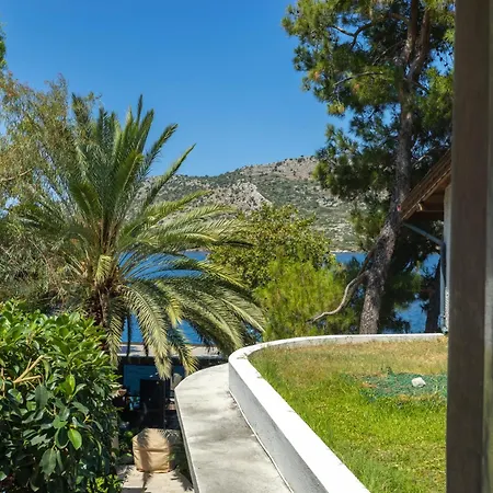 Otel Miamai Butik - Sadece Yetiskin