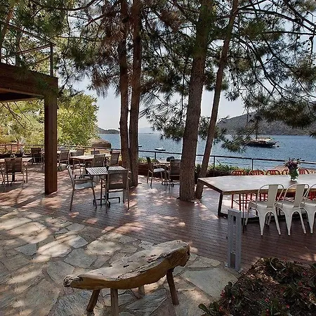 Otel Miamai Butik - Sadece Yetiskin