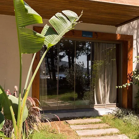 Miamai Boutique - Adult Only