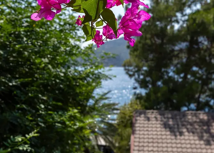 Miamai Butik - Sadece Yetiskin