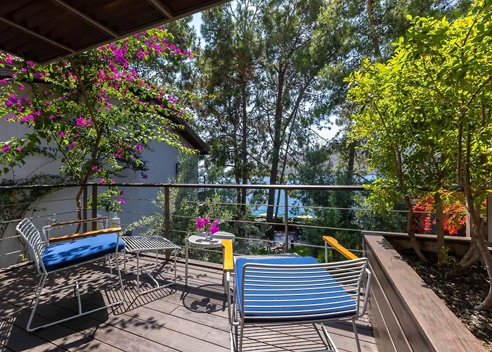 Miamai Butik - Sadece Yetiskin 3*