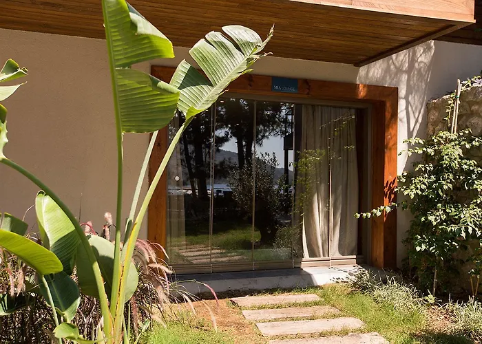 Miamai Butik - Sadece Yetiskin