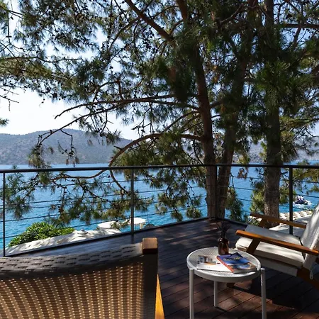 Miamai Boutique - Adult Only ボズブルン