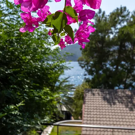 Miamai Boutique - Adult Only