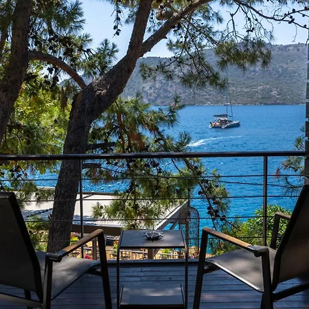 Miamai Boutique - Adult Only ボズブルン