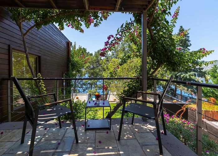 Miamai Boutique - Adult Only 3*